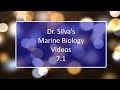 An Introduction to Marine Ecology - Lecture 7.1 - Marine Biology - Biol 321