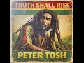 Roots Reggae (1946) [Unreleased Album] Peter Tosh – Truth Shall Rise