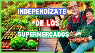 ¿Cómo empezar un HUERTO  propio en casa? Consejos y beneficios PARA TU SALUD🌱🍅✨