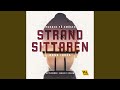 Chapter 13.38 - Strandsittaren