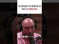 Joe Rogan & Elon Musk - Are We in a Simulated Reality?