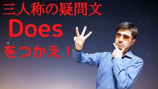 三人称の疑問文! Doesから始めよ！*英語動詞疑問文*海外旅行にも重宝*動画内で英会話練習できます！