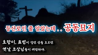 부개산 공동묘지에 산짐승과 귀신은 다행히 없었다.. 본의 아니게 담력테스트 (카메라 흔들림) / 호랑이 표범이 살던 산을 오르던 조상님들은 얼마나 무서웠을까...