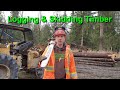 Logging & Skidding Timber In Western Washington