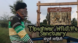 Tipeshwar Wildlife Sanctuary|Tiger सफारीबद्दल- संपूर्ण माहिती