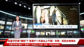 车厘子价格“腰斩”？有商户一天卖出上千箱！市民：买回去慢慢吃