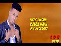 HEES CUSUB  CALI ZAKI  DEEQA WAAN KU JECELAHAY / ( L D O )   LYRICS DALMAR OFFICIAL  DAWASHO WACN