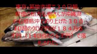 松方弘樹さんが釣ったマグロ、落札は「すしざんまい」１８４万