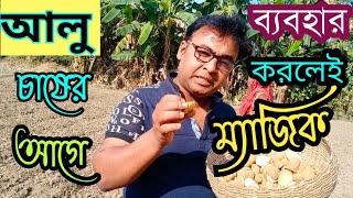 আলু চাষের সঠিক সময় ও পদ্ধতি || মাত্র ১টি টিপস ফলো করুন || Potato Farming