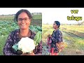 సేంద్రియ వ్యవసాయం సమీకృత వ్యవసాయం organic farming natural farms mixed farming integrated farming cvr