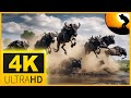 4K VIDEO (UTRAHD) AFRICAN WILDLIFE UNBELIEVABLE BEAUTY