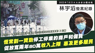 林宇滔議會發言紀錄｜2022年7月21日｜引介、一般性討論及表決《修改〈2022年財政年度預算案〉》法案