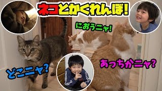 ネコとかくれんぼ できちゃうんです‼️ネコ鬼にみつかるな💦かくれて！仲良し兄弟 brother4