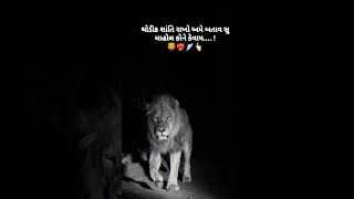 🦁❤️‍🔥🪽👆થોડીક શાંતિ રાખો અમે બતાવ સુ માહોલ કોને કેવાય #attitudereels #motivation 🦁❤️‍🔥🪽👆