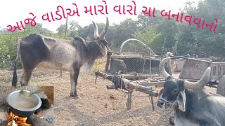 આજે વાડીએ મેં ચા બનાવી હતી..आज मैंने खेत में चाय बनाई