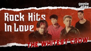 รวมเพลง THE WHITEST CROW Rock Hits in Love l วรรณกรรมขายดีอันดับ1, หวานเป็นลม ขมเป็นบ้า [Longplay]