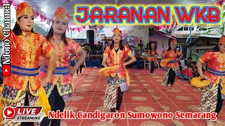 Kesenian Jaranan Wahyu Krido Budoyo Lamuk Kalimanggis Live Streaming Ndelik Candigaron Sumowono