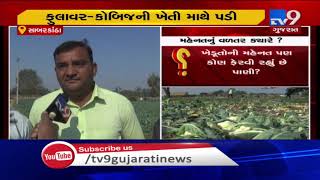 Farmers in Sabarkantha get 'pitiful prices' of their produce| TV9News