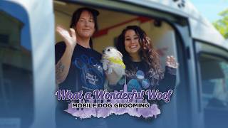 Inside a Thriving Mobile Grooming Business (What A Wonderful Woof) | Wag'n Tails Success Story