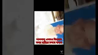 পীরের মাজার। তাও আবার নেংটা পীর । ঝিকরগাছা উপজেলার নির্বাসখোলা ইউনিয়নের রাজার ডুমুরিয়া গ্রামে