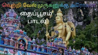 தைப்பூசம் முருகனுக்கு அரோகரா| Thaipusam | Murugan | #முருகன் #thaipusam #god #murugan #festival