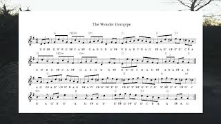 The Wonder Hornpipe (Hornpipe) - Play-Along Wednesday