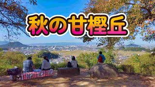 秋の飛鳥路を歩きました。甘樫丘からの眺めは最高！#5