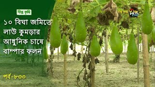 Deepto Krishi/দীপ্ত কৃষি- ১০ বিঘা জমিতে লাউ কুমড়ার আধুনিক চাষে বাম্পার ফলন | খুলনা | deepto tv