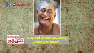 കലാമണ്ഡലം ഹൈദരാലി ഒരു വിപ്ലവമായിരുന്നു | Kalamandalam Haiderali | News18 Kerala