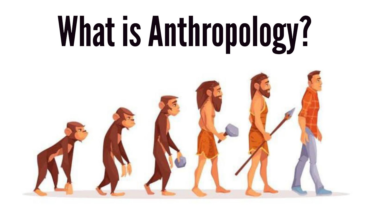 What Is Anthropology Definition Nature Branches Of 40 Off