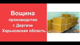 Вощина производство. Как из воска изготавливается вощина для пчел. Beeswax foundation production