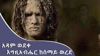 አዳም ወደቀ - እግዚአብሔር ከሰማይ ወረደ