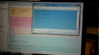 Debug Demo (ZigBee Mesh Network Project)