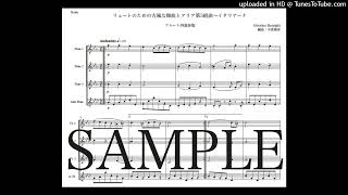 レスピーギ「リュートのための古風な舞曲とアリア第3組曲〜イタリアーナ」フルート四重奏版（編曲：中島雅彦）