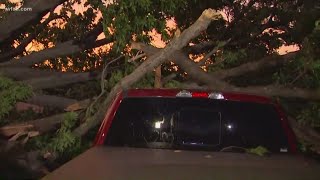 Storms takes down tree, power lines in Dallas