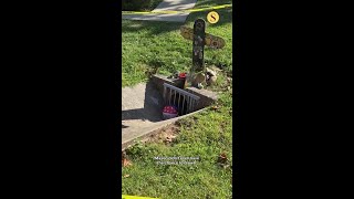 Family of Mount Airy teen who died in flood working for statewide legislation on storm drains