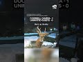 homeowner uses doorbell camera to shoo away deer eating holiday arrangement