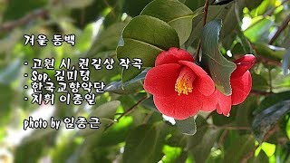 겨울 동백/고원 시, 권길상 작곡/Sop. 김미령/한국교향악단, 지휘 이종일 \u0026 photo by 임종근