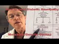 Diabetic Neuropathy: Metabolic Pathways - MTHFR, APOE4, Metformin, ACE Inhibitors,  NOS