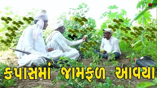 કપાસમાં જામફળ આવ્યા  | દેશી વિડિયો | Gujarati Comedy Video | Desi Paghadi