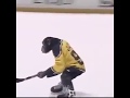 Jack the Chimpanzee is practicing to play with Brad Marchand next season 🐵