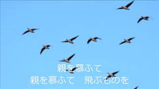 波止場がらす　デイック