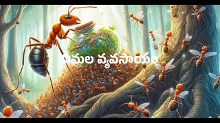 చిట్టి చీమల వ్యవసాయం | Ant farming |