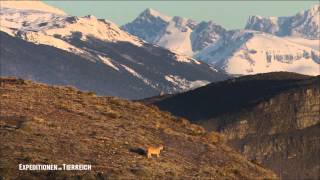 Tiere im Paradies: Expeditionen 2012