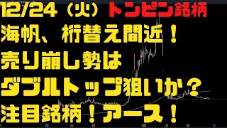 12/24（火）海帆、桁替え間近！売り崩し勢はダブルトップ狙いか？注目銘柄アースインフィニティ！トンピン銘柄