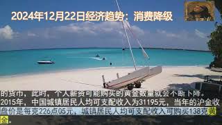 2024年12月22日经济趋势：消费降级