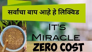 सर्व खतांचा बाप आहे जीवामृत | Easy Method To Make Jivamrut | How To Make Organic Fertilizer