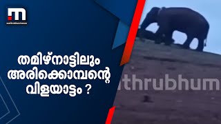 തമിഴ്നാട്ടിലും അരിക്കൊമ്പന്റെ വിളയാട്ടം ?; വീട് ആക്രമിച്ച് മുങ്ങി | Arikkomban