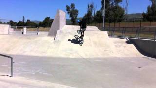 Spring Edit 2011