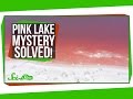 Pink Lake Mystery Solved!